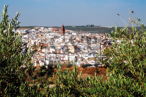 foto1